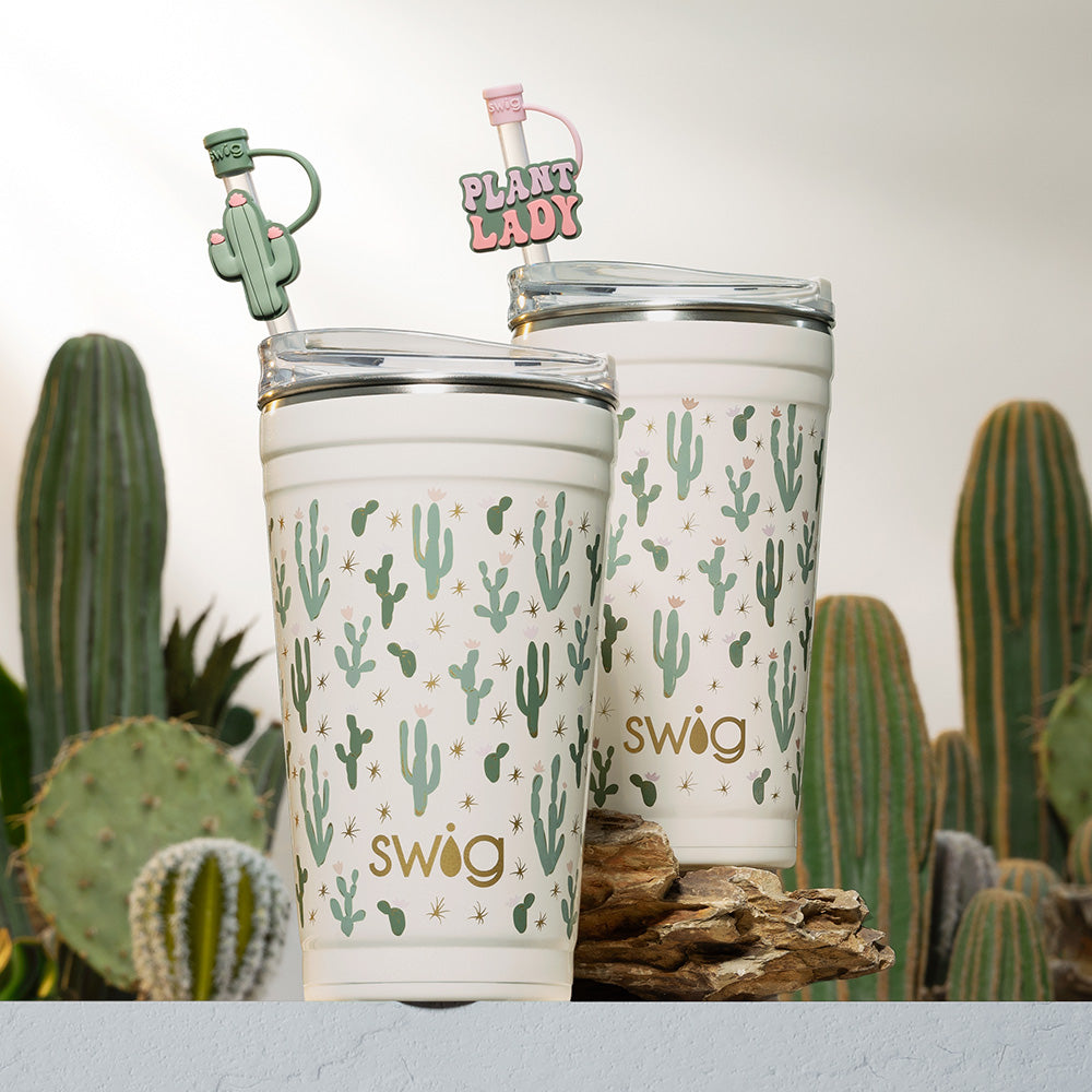24oz Desert Child Party Cups - Colorful Disposable Plastic Cups for Kids Birthday, Picnic, BBQ & Summer Parties - Bulk Pack of 50