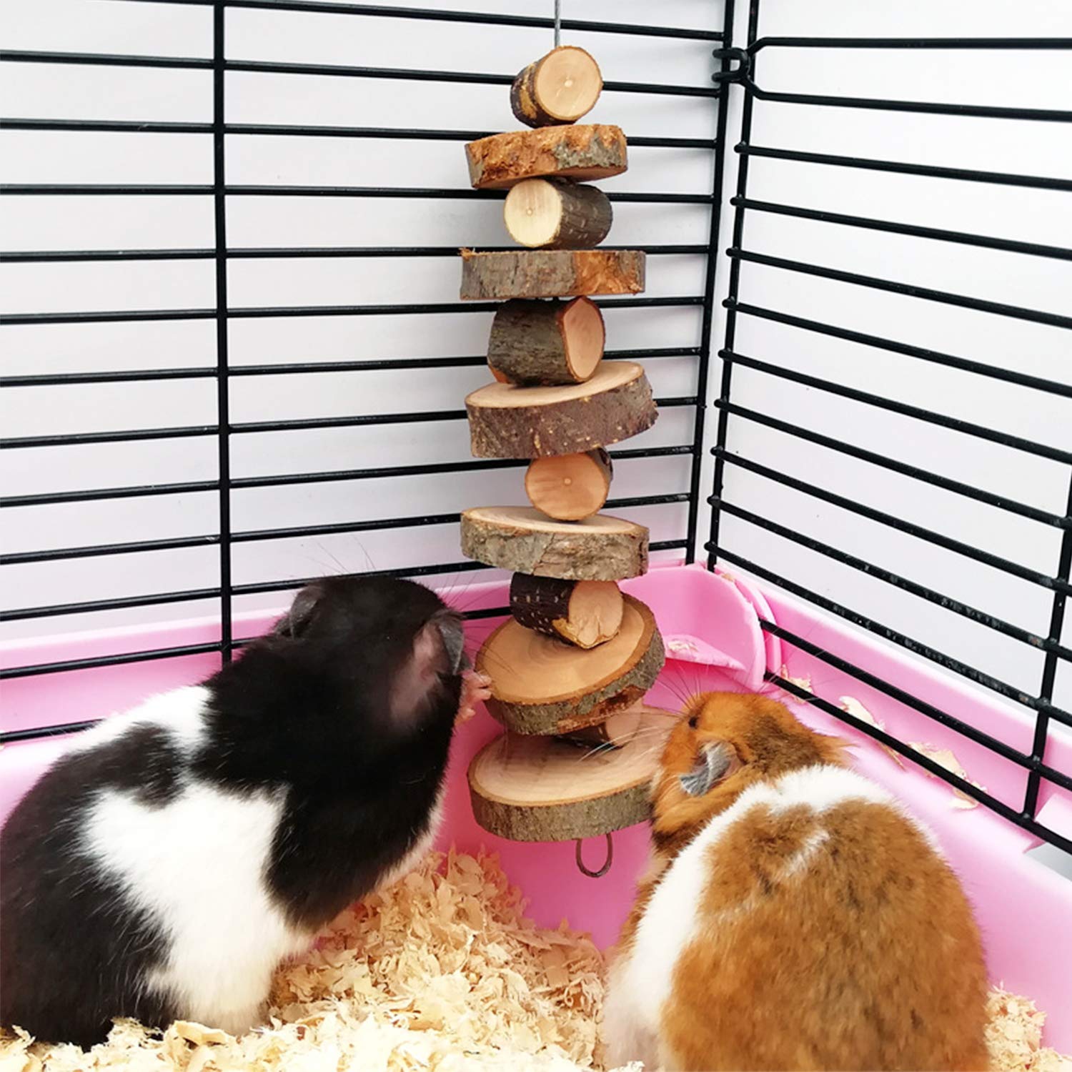 Organic Apple Wood Chew Toys for Small Animals - 2 Pack Natural Bunny, Chinchilla, Guinea Pig & Hamster Teeth Grinding Treats - Perfect for Cage Enrichment & Dental Health