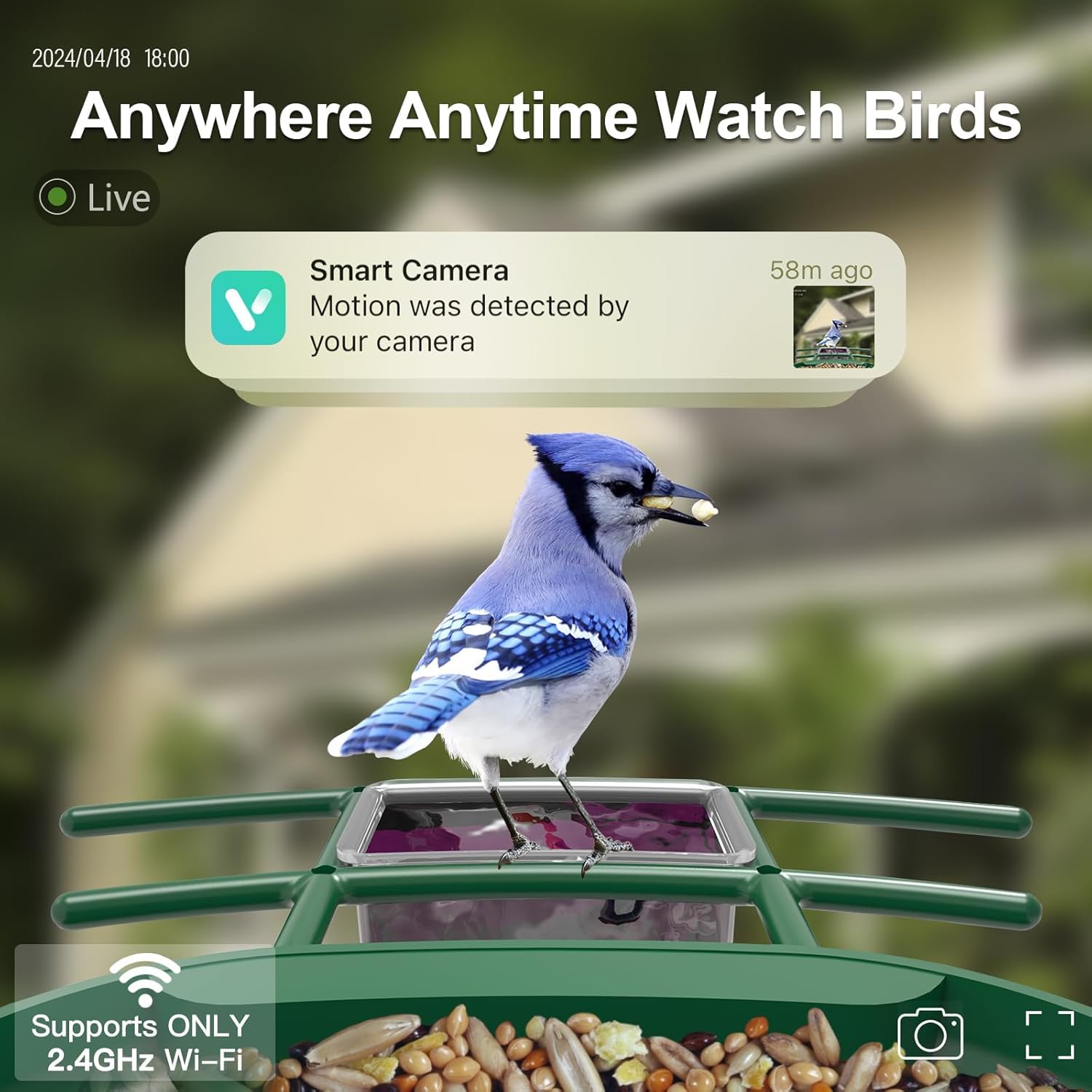 Solar Powered Smart Bird Feeder with 2K Camera - AI Bird Identification, Auto Video Capture, 2.4GHz WiFi - Perfect Backyard Gift for Bird Lovers & Parents (Ideal for Bird Watching, Nature Observation & Outdoor Decor)