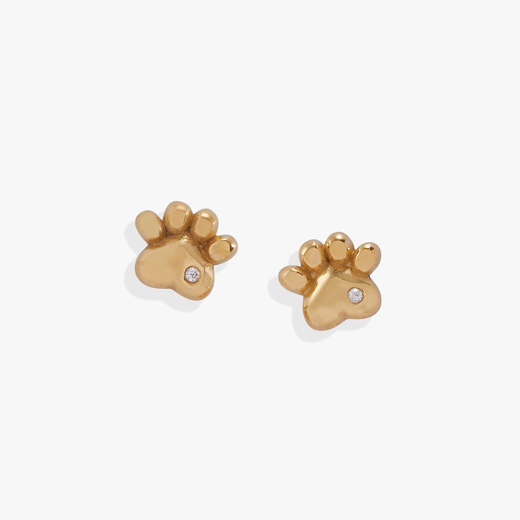 Crystal Paw Mini Stud Earrings for Women - Dainty Animal Jewelry Gift for Cat Lovers - Perfect for Everyday Wear & Special Occasions