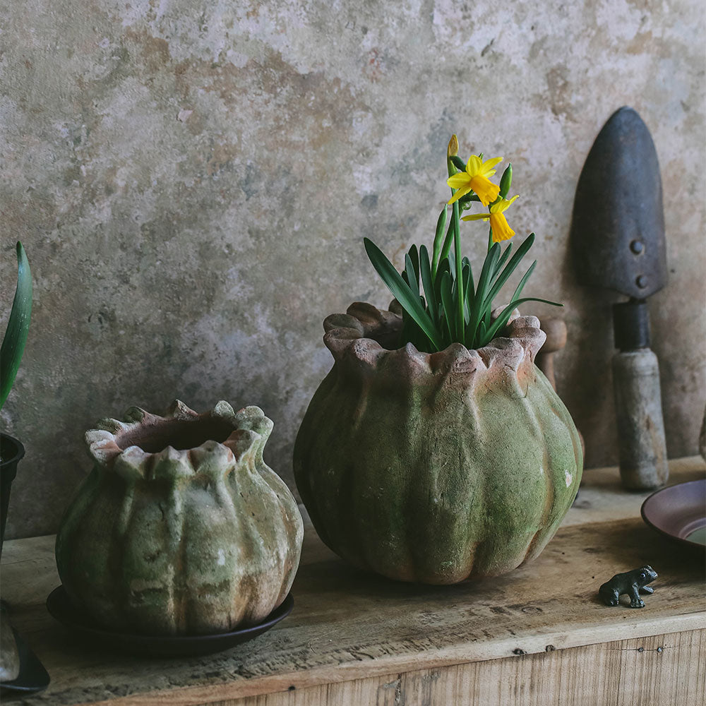 Aged Terracotta Poppy Planter - Handmade Clay Flower Pot for Indoor & Outdoor Plants - Perfect for Home Garden, Patio Decor, and Gift Ideas