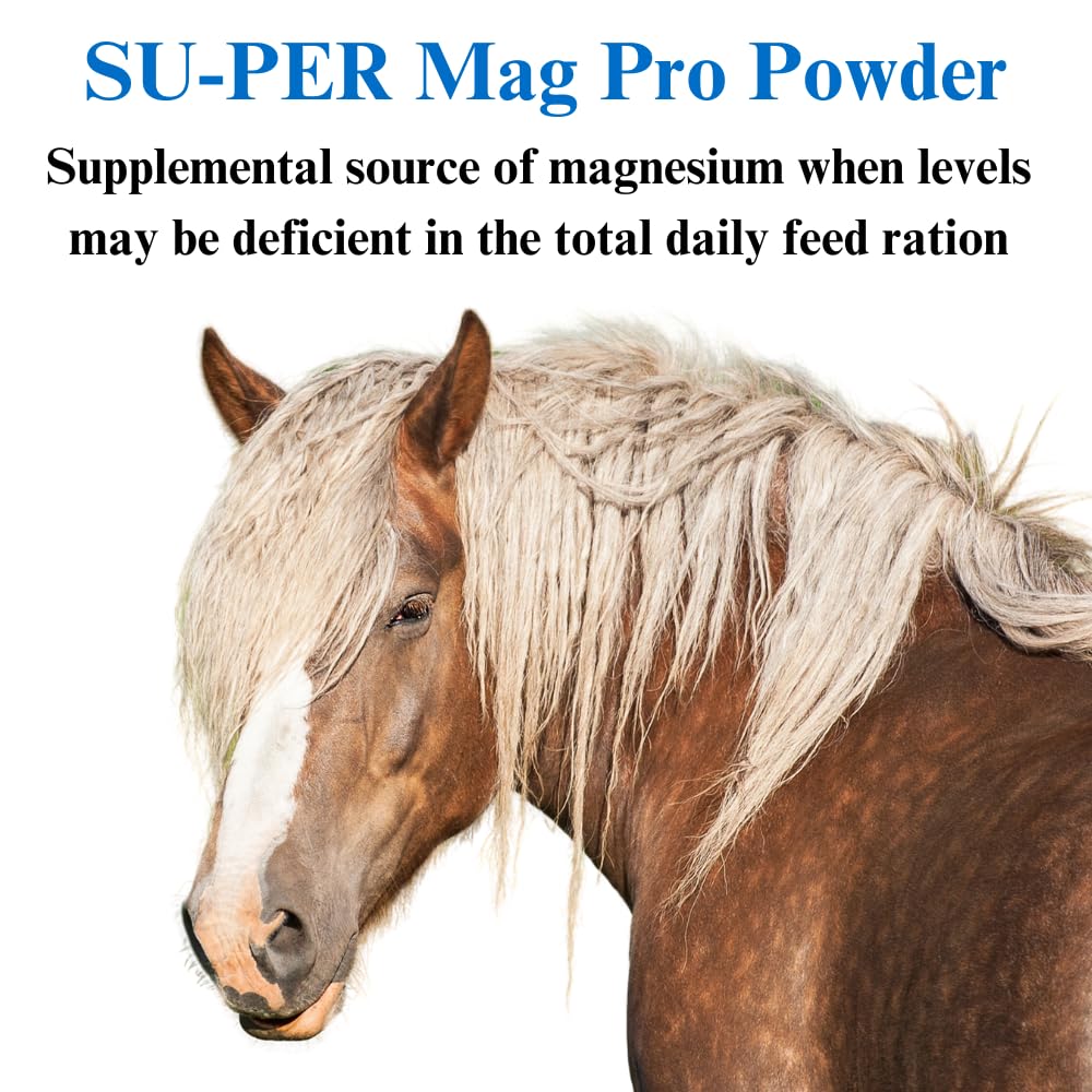 Mag Pro Horse Calming Supplement with Magnesium - 16lb (8 Month Supply) for Stress Relief & Normal Behavior Support - Ideal for Show Horses, Trail Riding & Training