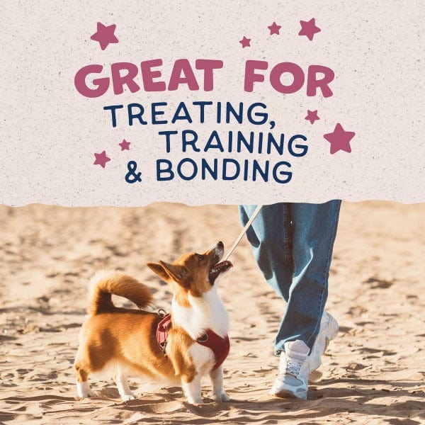 Natural Balance Crunchy Dog Biscuits with Real Venison - Small Breed Recipe, 8oz - Healthy Treats for Training & Rewarding Small Dogs
