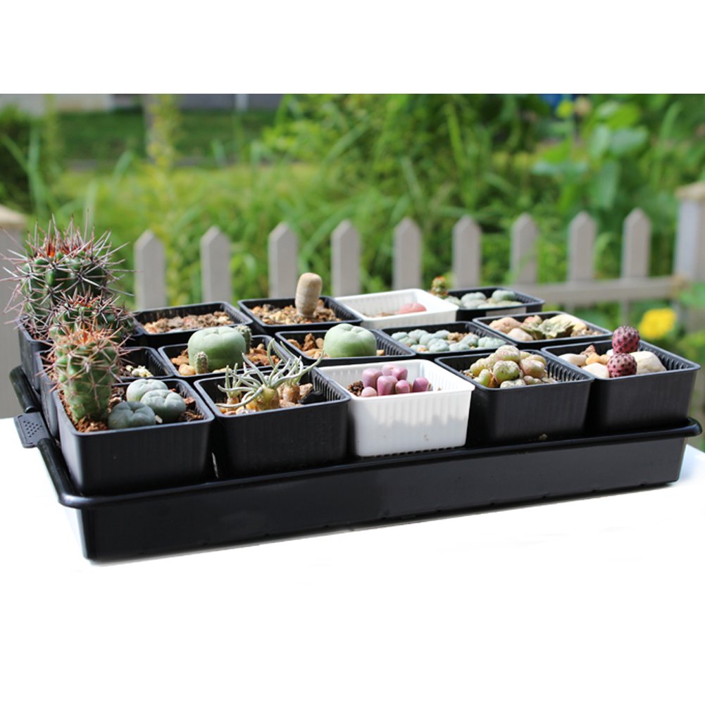 OLizee® 12-Pack Durable Plastic Seed Starter Trays with 2.75
