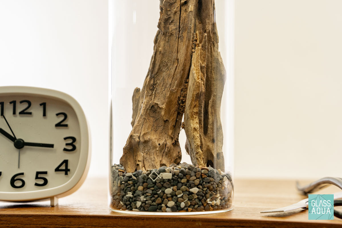 Miniature Terrarium Kit for Home Decor - DIY Glass Terrarium with Succulents & Air Plants - Perfect for Office Desk, Gift Idea, and Indoor Gardening Enthusiasts
