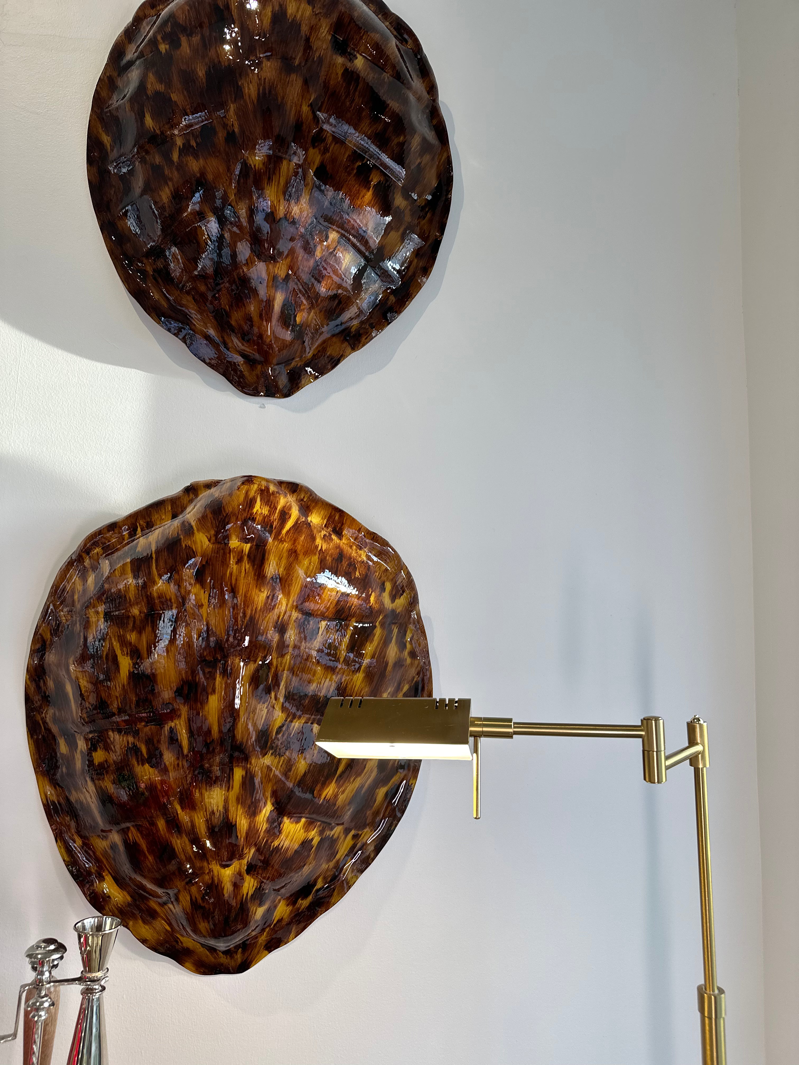 Premium Large Tortoise Shell for Home Decor, DIY Crafts, and Aquarium Accessories | Natural and Durable for Reptile Habitats, Beach Themed Parties, and Coastal Interior Design