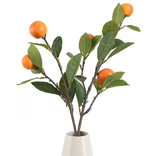 Orange Branch
