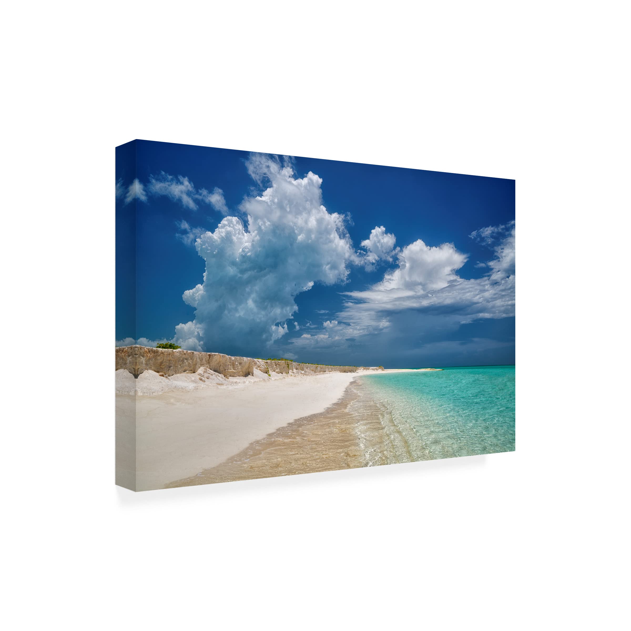 Trademark Fine Art 'White Chalk Cliffs' Canvas Wall Art by Dennis Frates - Stunning Coastal Landscape Painting for Living Room, Bedroom & Office Decor