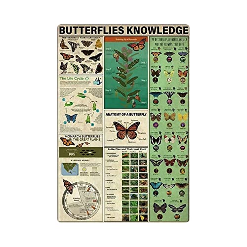 Butterflies Knowledge