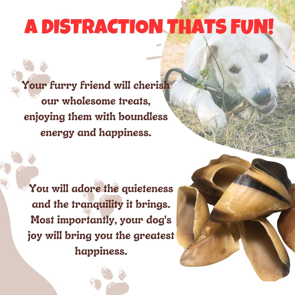 Premium All-Natural Cow Hoof Dog Chews (25-Pack) - Grass-Fed Beef Hooves for Dogs - Safe & Healthy Alternative to Rawhide - Perfect for Training, Teething, and Dental Care