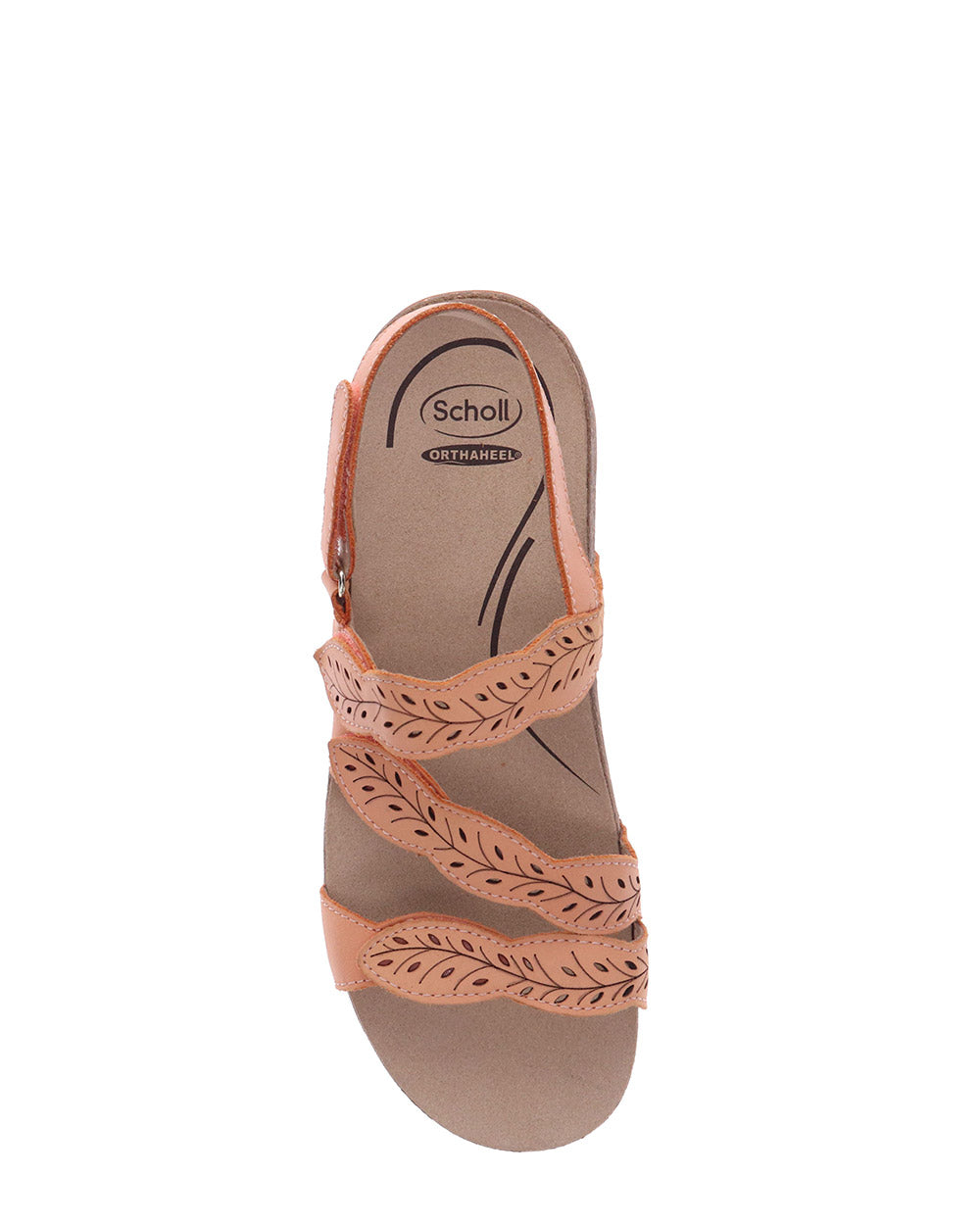 Scholl Able II Apricot Leather Sandals for Women - Comfortable Casual Walking Shoes - Perfect for Beach, Vacation & Summer Outfits