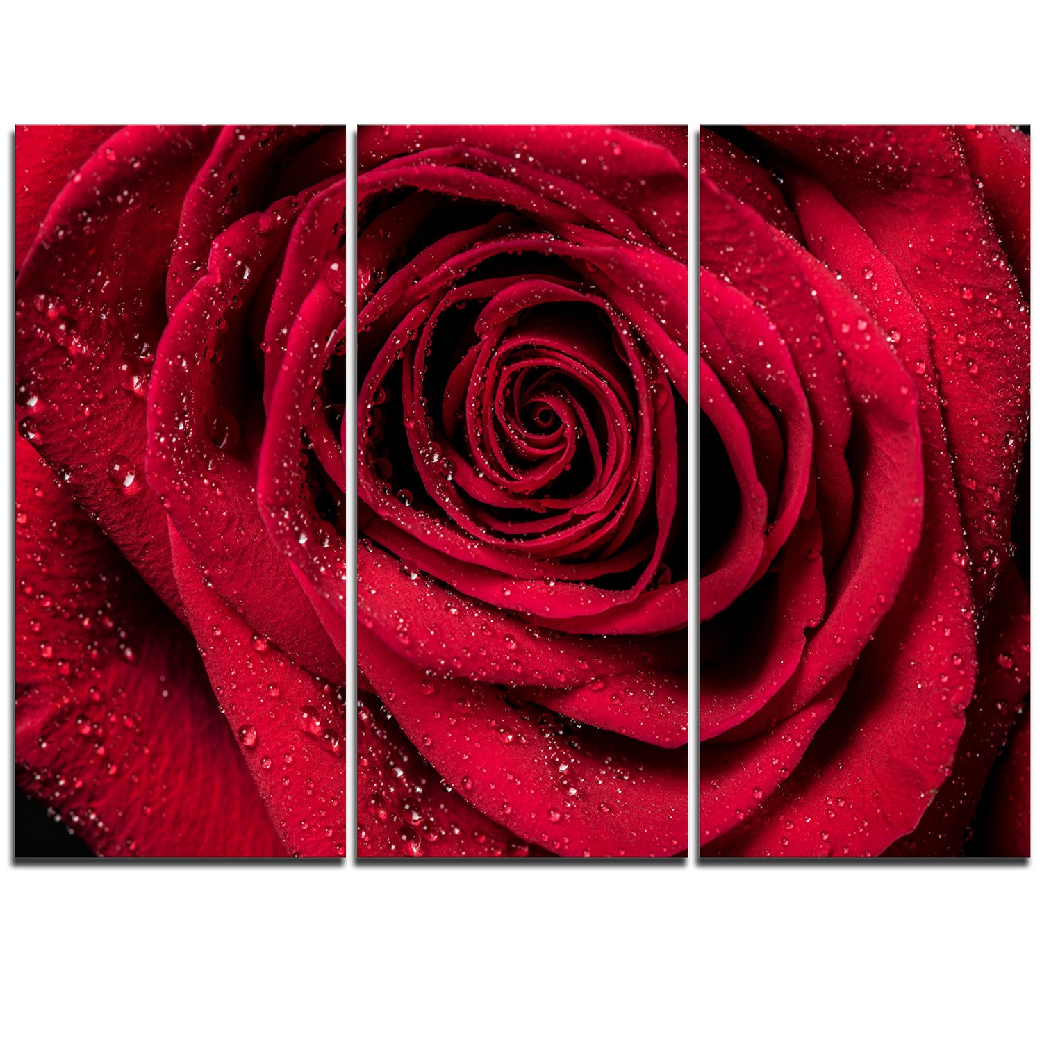 Designart (DET43) Red Rose Petals in Rain Droplets Canvas Wall Art Print - 36x28 Inches, 3-Panel Triptych, Vibrant Red Floral Decor - Perfect for Living Room, Bedroom, or Office Wall Decor