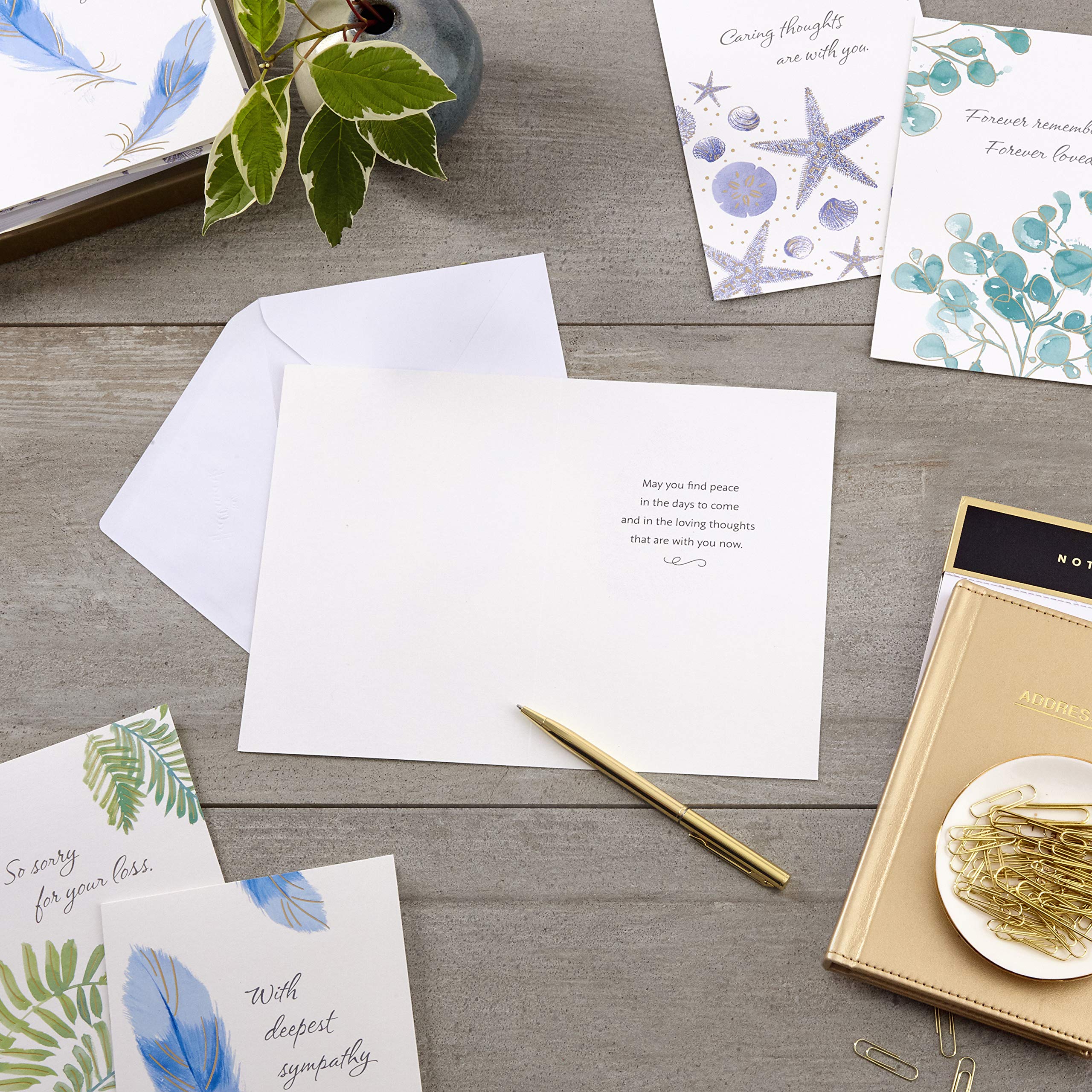 Hallmark Birthday & Sympathy Greeting Cards Set - 20 Birthday Cards & 12 Watercolor Nature Thinking of You Cards with Envelopes - Perfect for Celebrations, Condolences & Everyday Encouragement