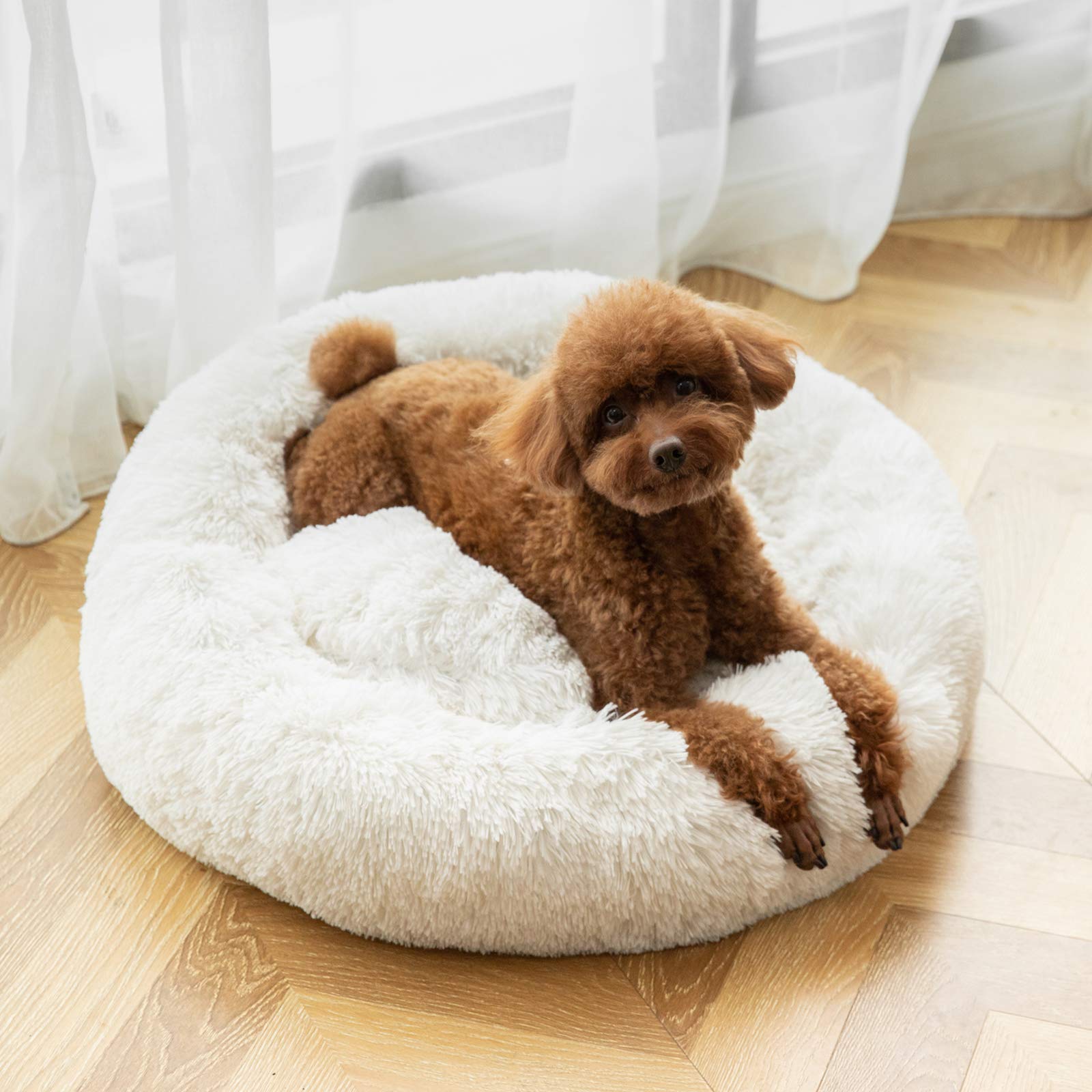Washable Round Donut Dog Bed for Small Dogs - Soft & Comfy Calming Cuddler Pet Bed - Perfect for Puppies, Travel & Home Use