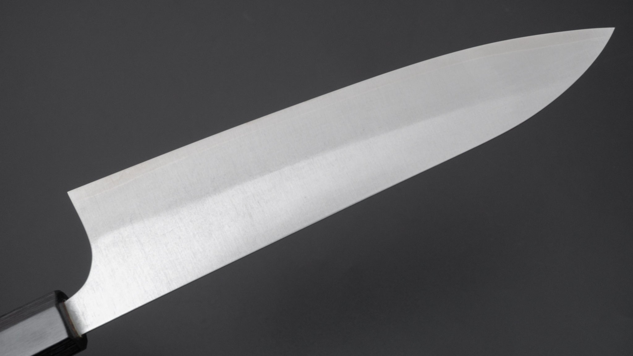 Hitohira Echizen SG2 Gyuto 210mm Japanese Chef Knife - Premium Stainless Steel Blade with Keyaki Zelkova Wood Handle - Perfect for Sushi, Meat Cutting & Professional Kitchen Use