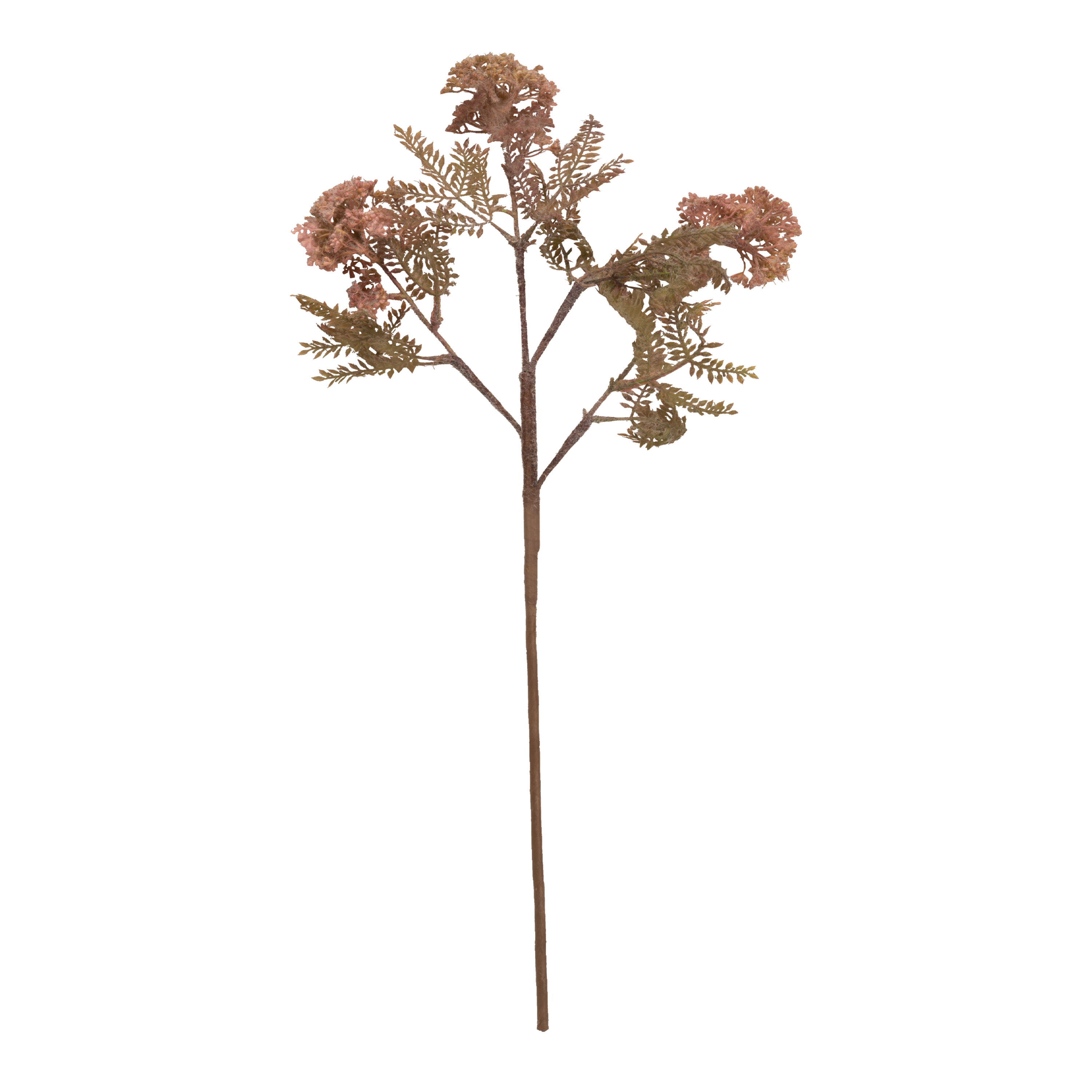 Premium Hemlock Stem for DIY Crafts, Home Decor, and Floral Arrangements – Natural Wooden Stems for Wreaths, Centerpieces, and Seasonal Decorations