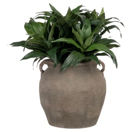 Vintage Clay Pot with Potted Dracaena Bush - Handmade Terracotta Planter for Indoor Plants, Home Decor & Office Greenery - Perfect for Living Room, Patio or Gift Idea