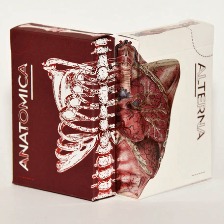 Premium Alterna Playing Cards - High-Quality Poker & Card Games Deck for Magic Tricks, Poker Nights & Family Game Nights