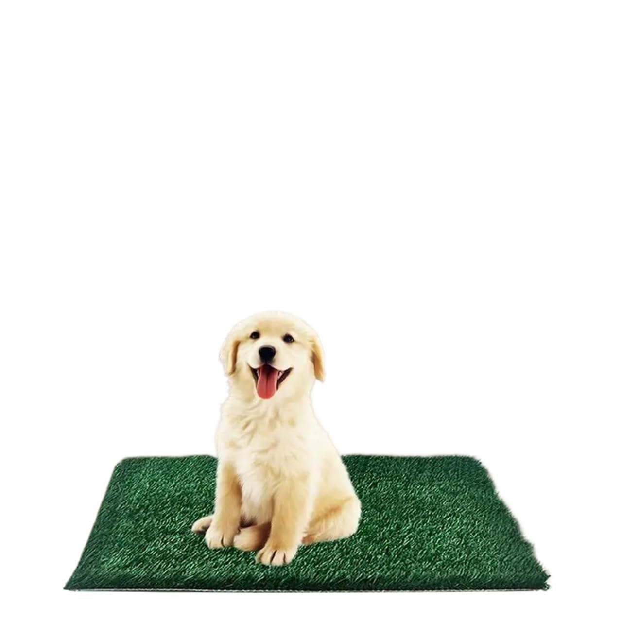 **Indoor Dog Potty Training Pad with Artificial Grass - Puppy Pee Mat & Poop Bag Holder - Pet Supplies for Small & Large Dogs - Perfect for Apartments, Travel & Housebreaking**