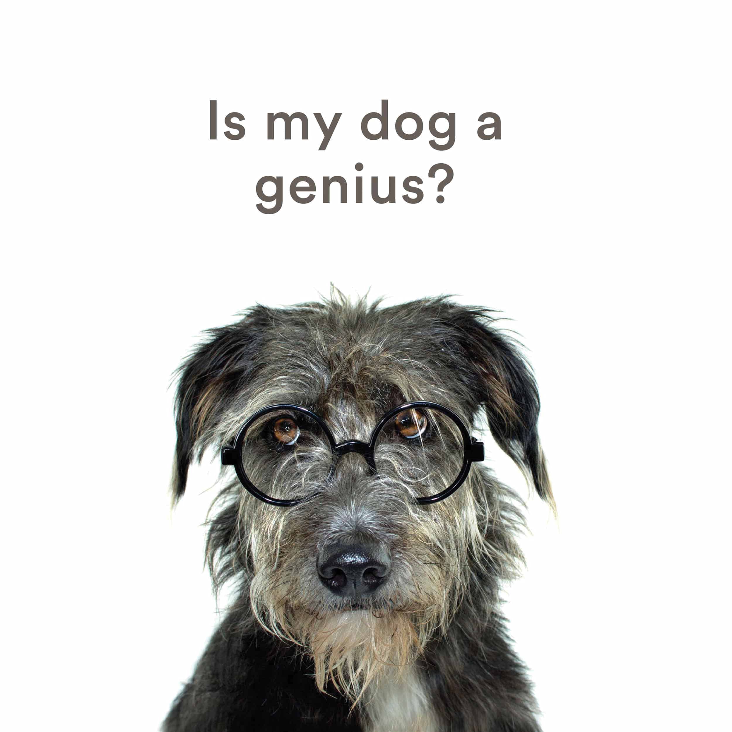 Is My Dog a Genius? - Dog Intelligence Test & Training Guide for Smart Pets | Fun Brain Games for Dogs at Home