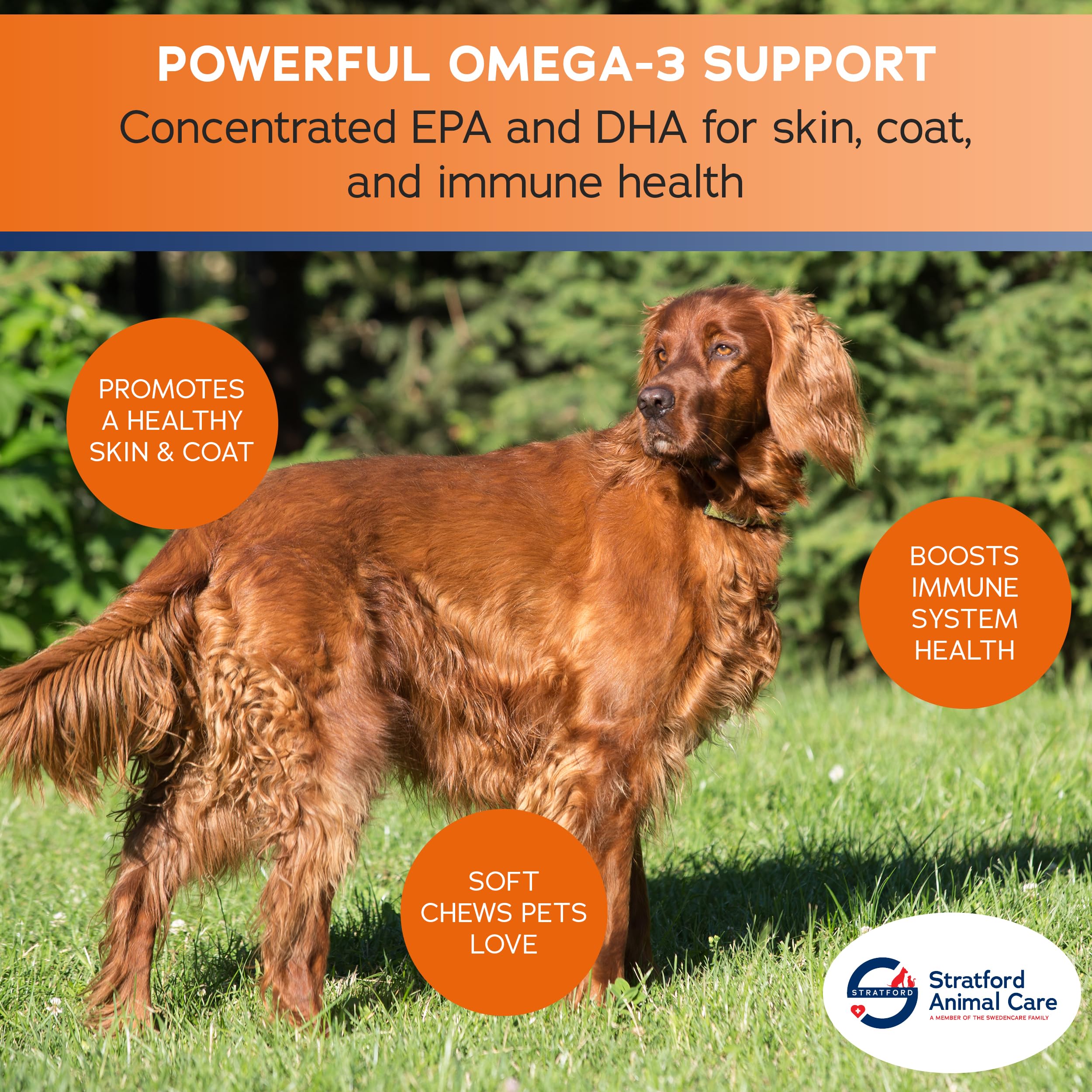 Stratford Pharmaceuticals EZ Chew Omega 3 Fatty Acid Soft Chew Max Strength for Dogs - Fish Oil Supplement for Large & Giant Breeds - 150 Count Delicious Soft Chew Treats - Supports Joint, Skin & Coat Health - Perfect for Daily Nutrition & Training Rewards