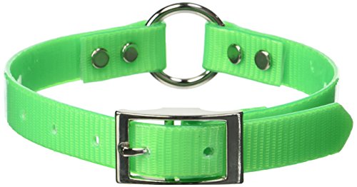 Neon Green