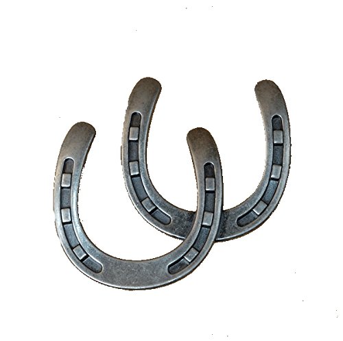 24-Piece Double Horseshoe Drawer Pulls - Western Style Cabinet Handles for Kitchen & Bathroom - Rustic Southwest Decor in Vintage Silver Finish - Perfect for Texas Ranch, Farmhouse & Country Home Décor
