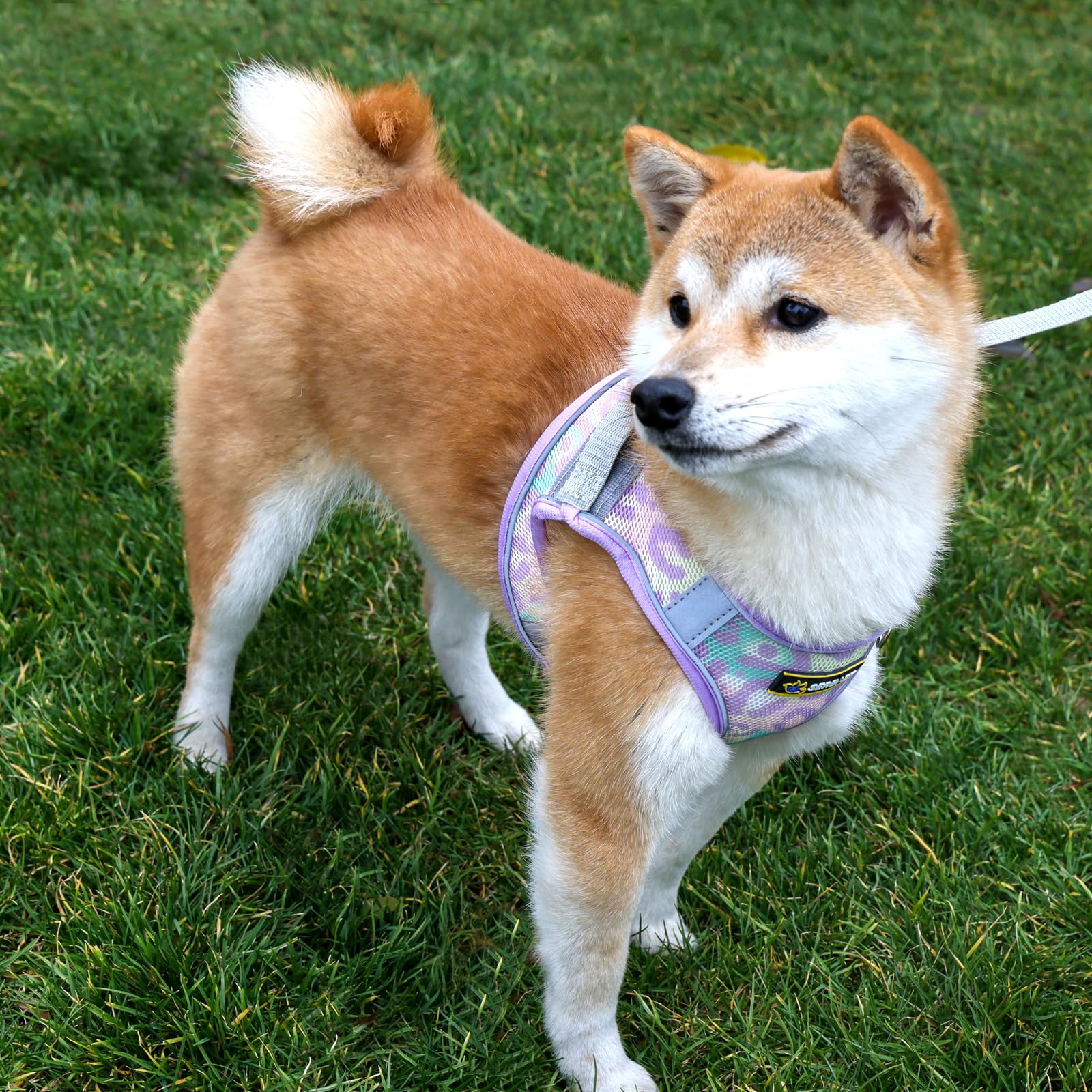 **Adjustable No-Pull Dog Harness & Leash Set for Small to Medium Puppies - Breathable Mesh Reflective Vest for Walking, Running & Training (Size S, Purple) - Perfect for Outdoor Adventures & Daily Walks**