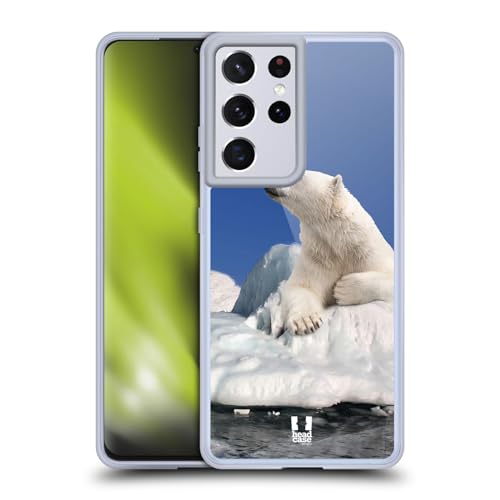 Polar Bear On Ice