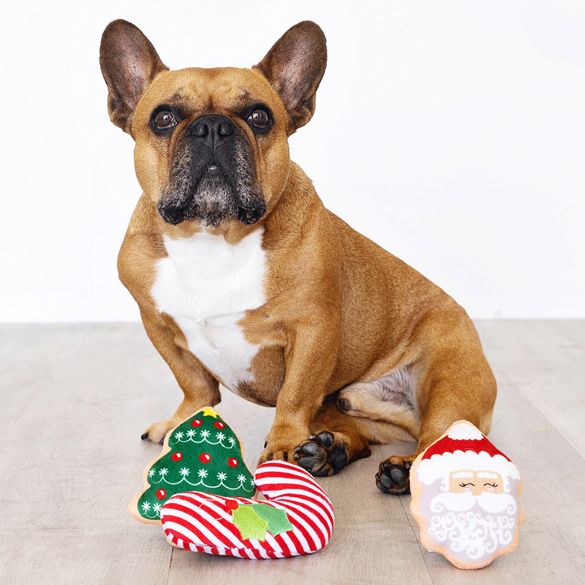 Fringe Dear Santa Multi Dog Toys - Fun Holiday Chew Toys for Small & Large Dogs - Perfect for Christmas Gifts & Playtime
