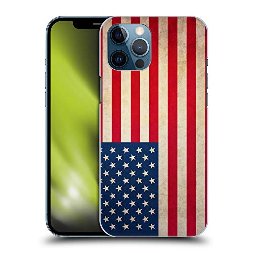 Flag of the United States of America USA