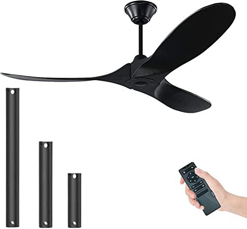 Black Ceiling Fan