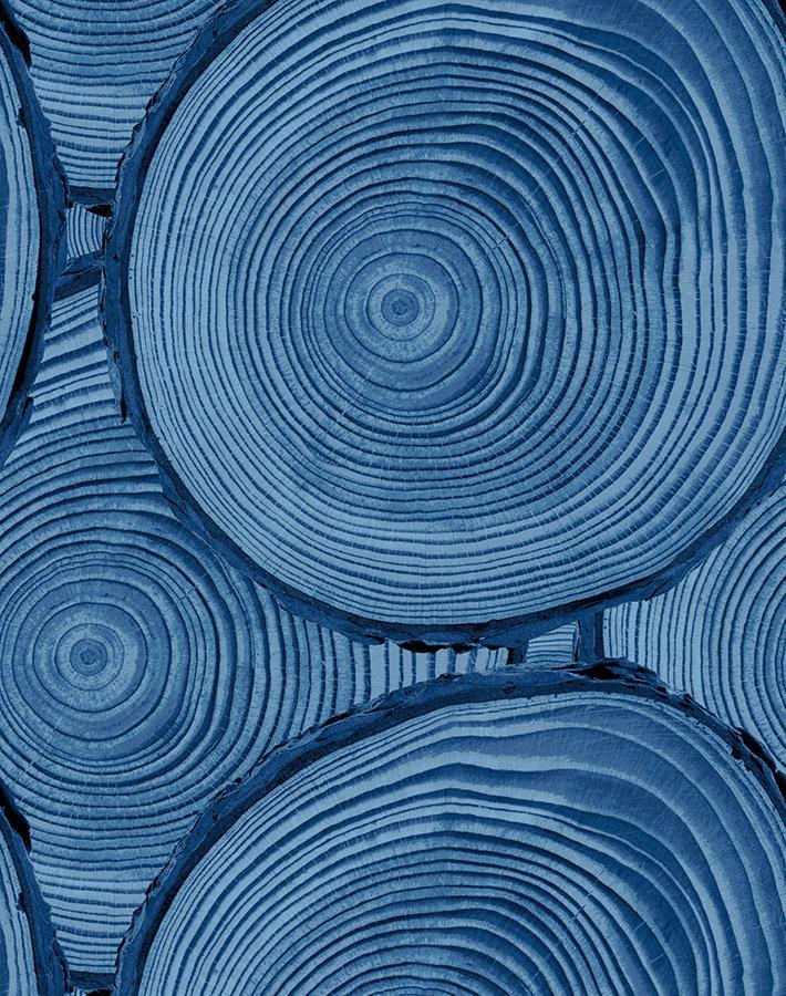 Nathan Turner Faux Bois Blue Wallpaper - Premium Peel & Stick Wallpaper for Bedroom, Living Room & Home Decor