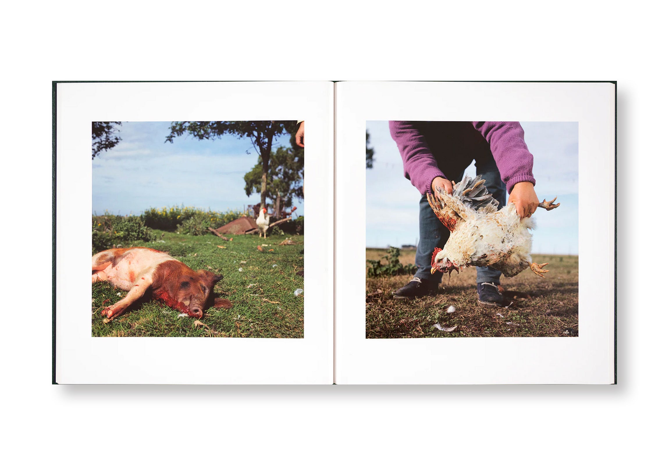 ON THE SIXTH DAY by Alessandra Sanguinetti - Signed Photography Book - Perfect for Art Collectors & Photography Enthusiasts