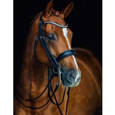 Schockemöhle Venice Dressage Double Bridle - Premium Horse Bridle for Dressage Training & Competition - Perfect for Professional Riders & Equestrian Sports