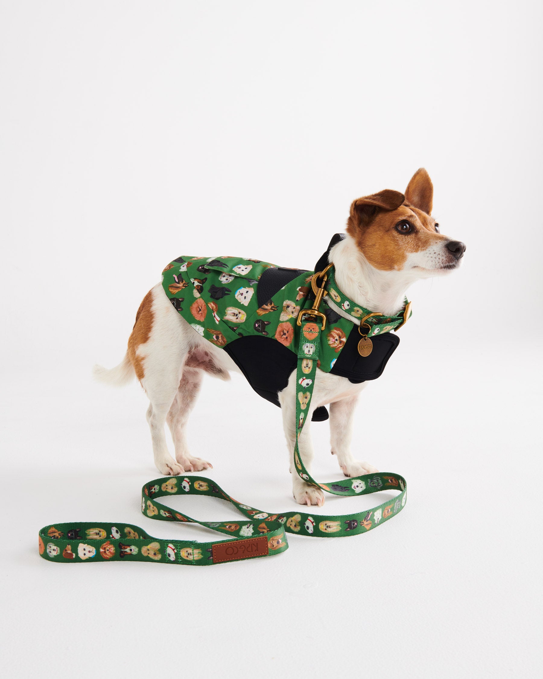 Waterproof Reflective Dog Jacket for Small & Large Breeds - Lightweight & Warm Winter Coat for Outdoor Adventures, Hiking, and Dog Park Playtime