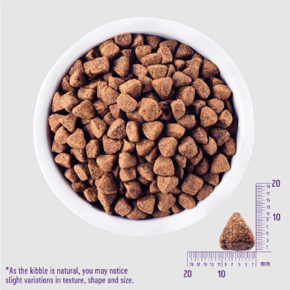 CORE Healthy Weight Turkey Adult Dog Dry Food - High Protein, Grain-Free Kibble for Weight Management - Perfect for Overweight or Less Active Dogs
