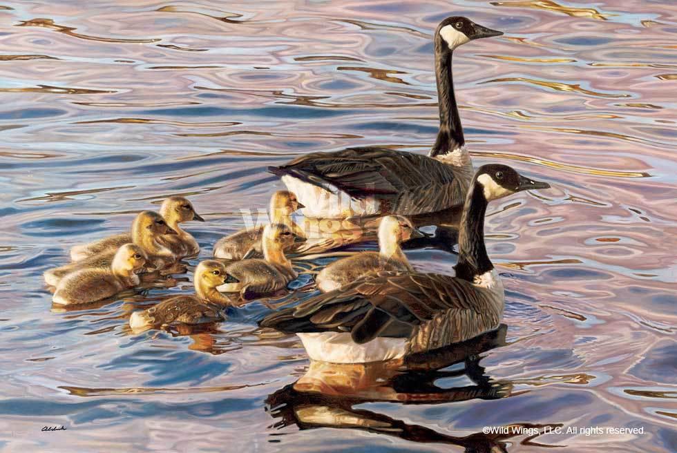Canadian Armada Geese Signed Print - Handmade Wildlife Art for Home & Office Decor - Perfect for Nature Lovers & Wall Art Collections