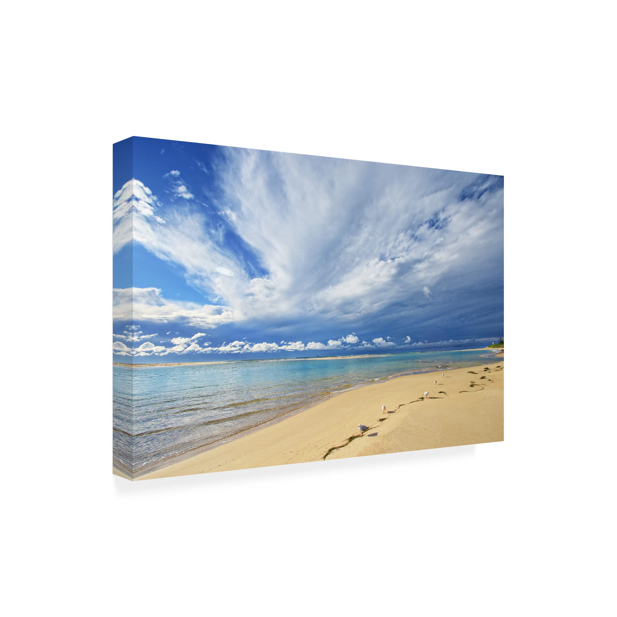Trademark Fine Art 'Born to Be on a Beach 2' Canvas Wall Art by Beata Czyżowska - Coastal Decor for Living Room, Bedroom & Beach House