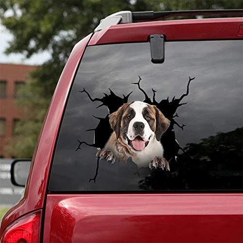 St. Bernard-01
