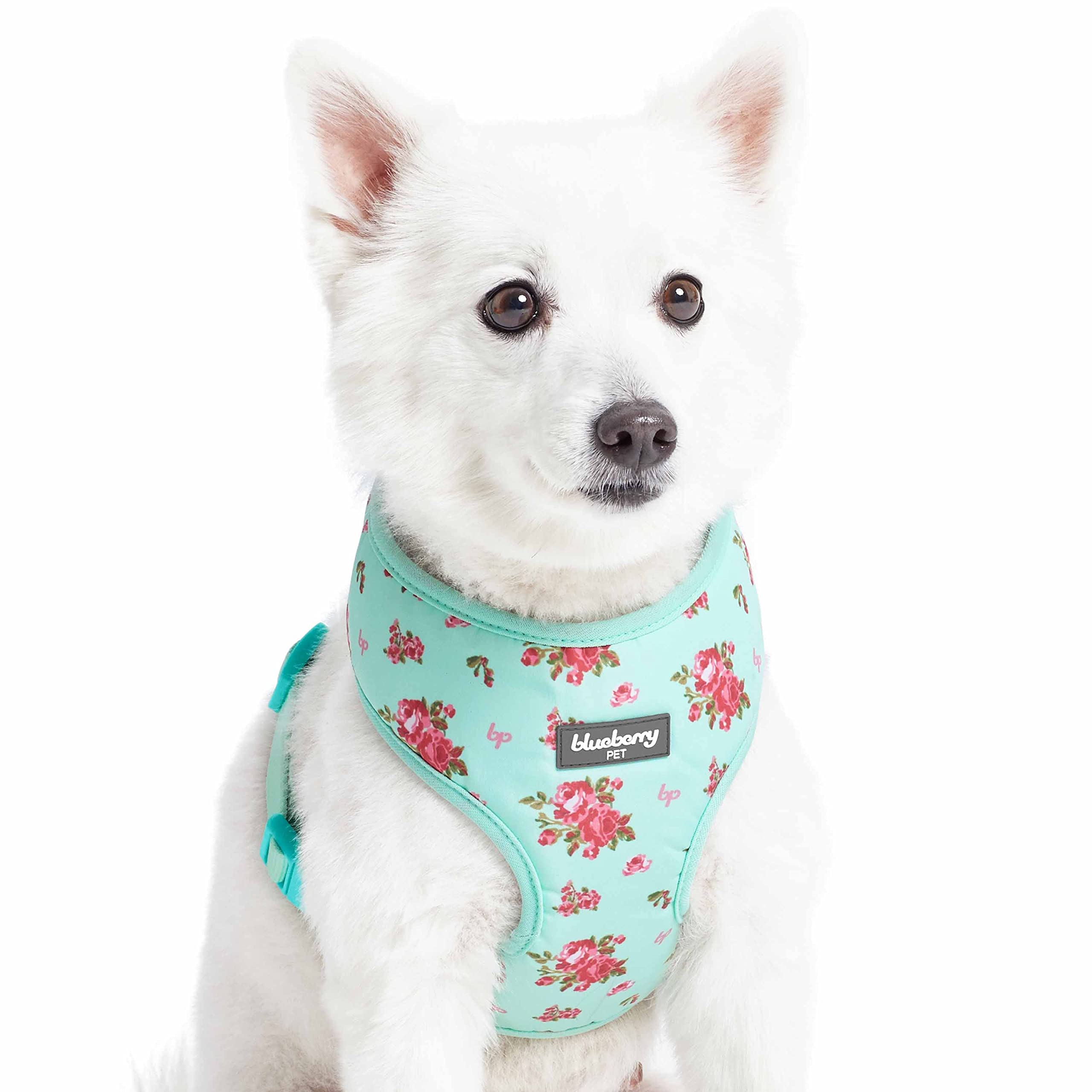 Premium Blueberry Pet Dog Harness - Soft & Comfy Turquoise Floral Design, No-Pull Adjustable Harness for Medium & Large Dogs (Perfect for Walking, Hiking & Outdoor Adventures)