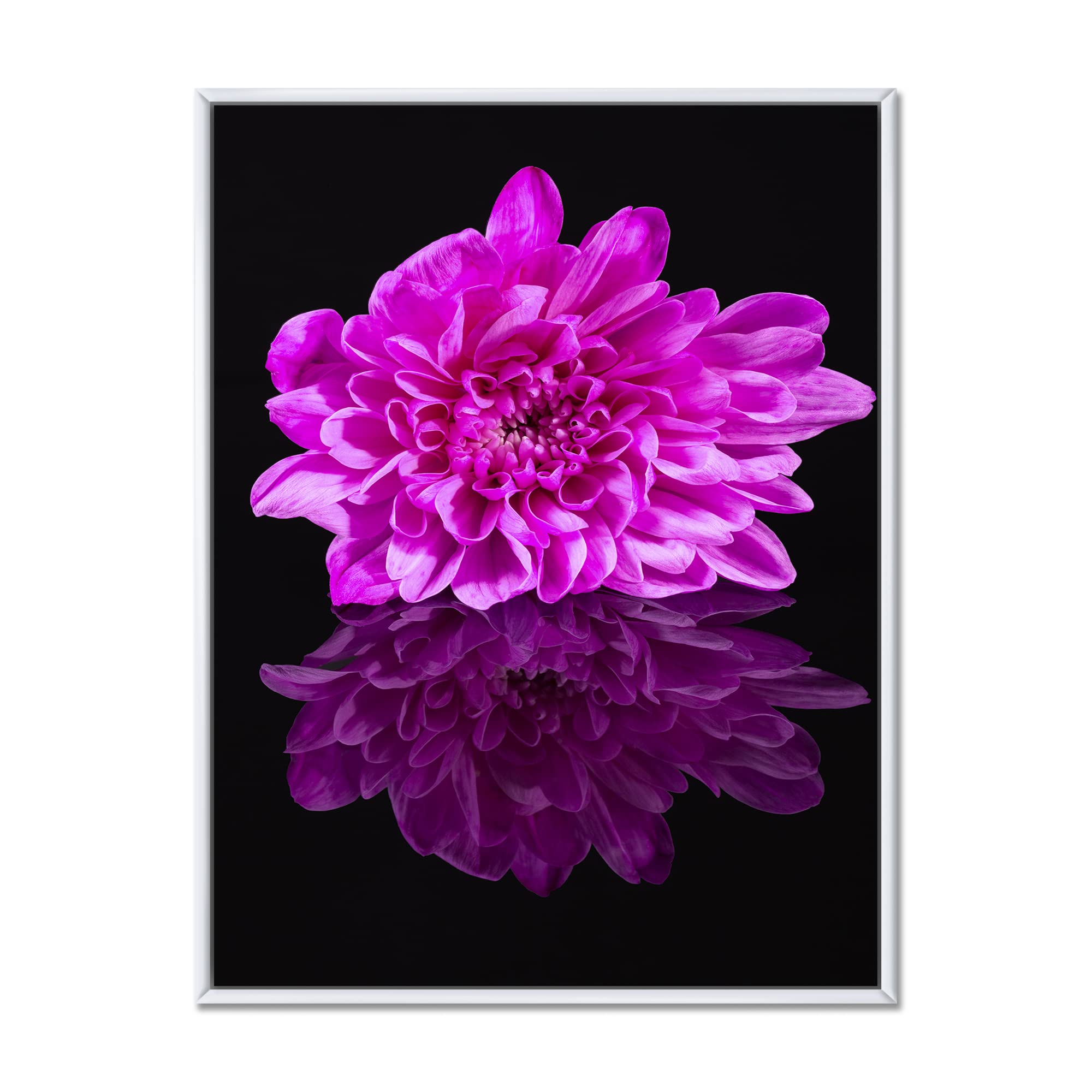 DesignQ Single Chrysanthemum Flower on Black Reflection - Traditional Framed Canvas Wall Art Print for Living Room, Bedroom & Office Decor