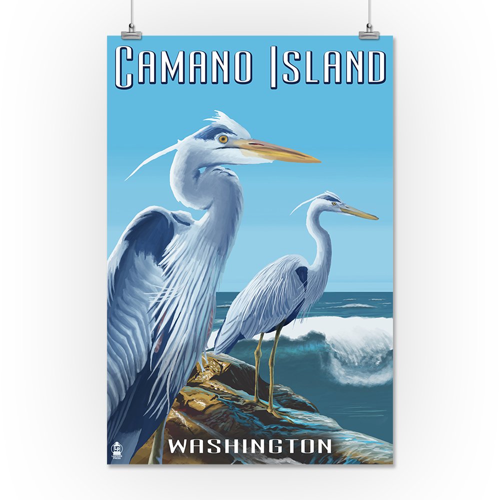 Lantern Press 16x24 Inch Giclee Art Print - Camano Island Washington Blue Heron Wall Decor - Perfect for Living Room, Bedroom & Office Wall Art