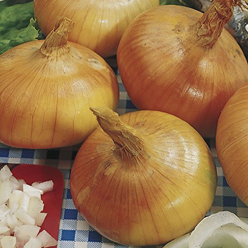 Walla Walla Sweet Onion