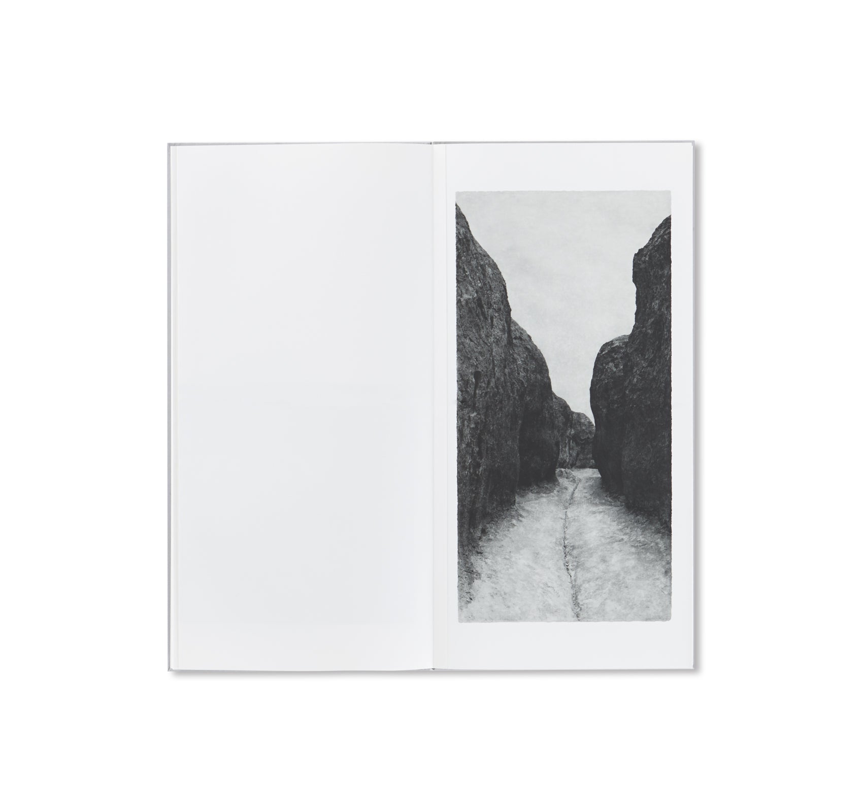 OPENING by Jungjin Lee - Stunning Art Book for Home Decor, Office Display & Gift Ideas | Explore Contemporary Photography & Unique Aesthetic