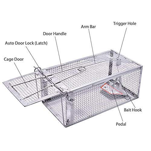 Humane Live Animal Chipmunk Trap - 1 Door Small Rodent Cage for Mice, Rats & Squirrels | Indoor & Outdoor Use | Perfect for Gardens, Farms & Home Pest Control
