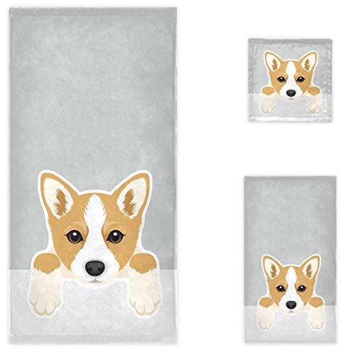 Corgi