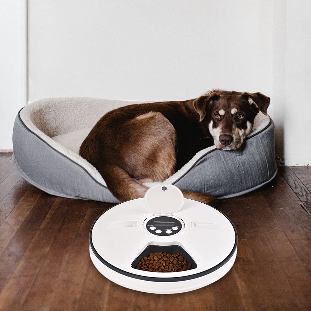 Balacoo Automatic Pet Feeder - Digital Cat & Dog Food Dispenser for Wet/Dry Food, ABS Bowl - Perfect for Puppy, Kitten & Small Pets - Ideal for Home, Travel & Busy Pet Owners