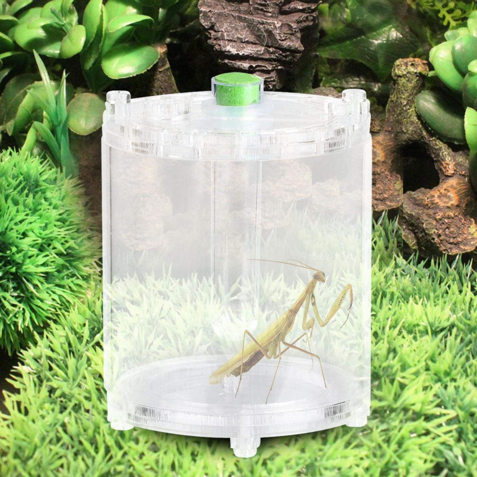 Premium Transparent Rotating Reptile Feeding Box - Moisturizing Habitat for Insects, Small Pets & Birds - Ideal for Terrariums, Pet Stores & Home Breeding