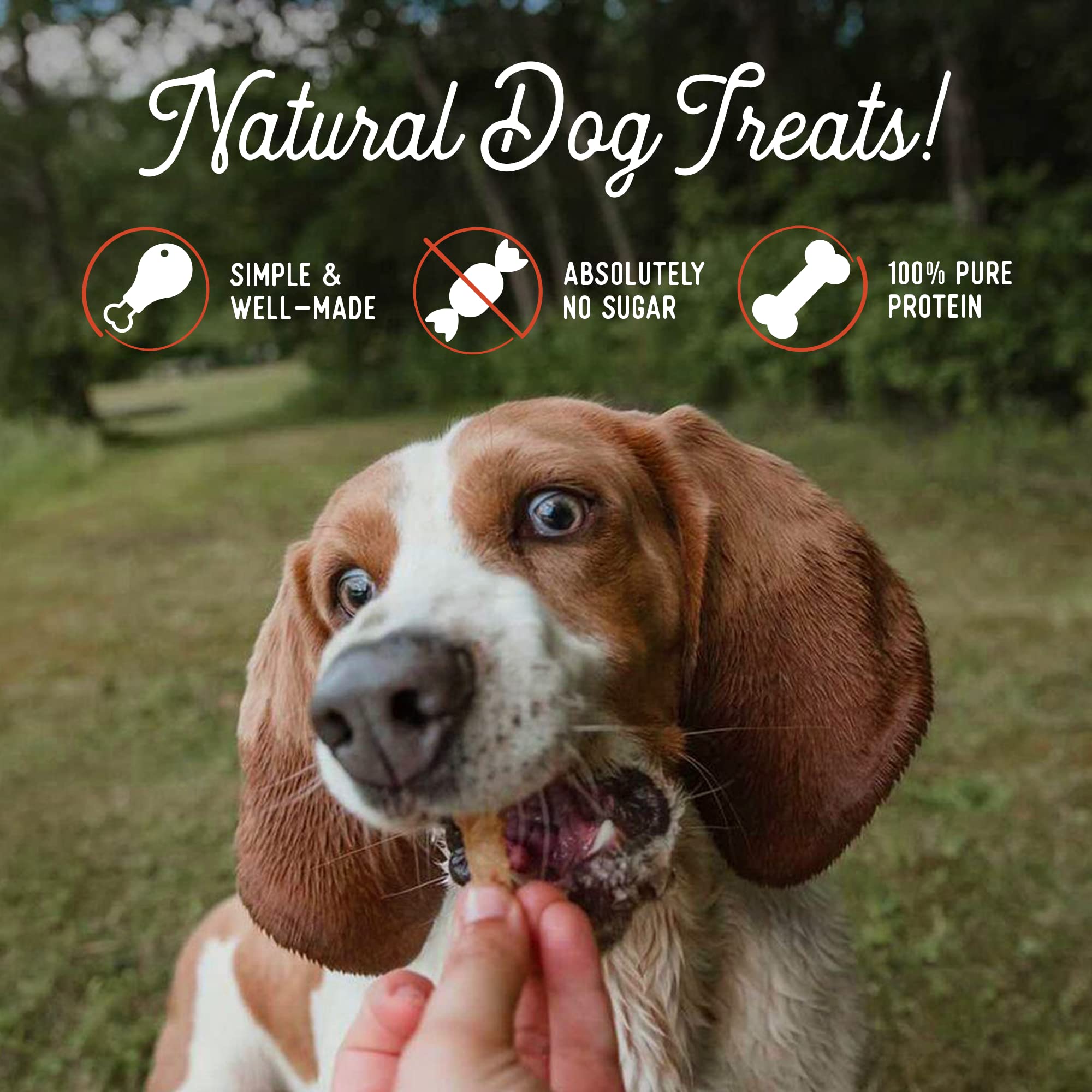 Beg & Barker Pork Jerky for Dogs - 10oz (Pack of 2) | Grain Free, High Protein Dog Treats | Made in USA | Natural Training Rewards for Puppies & Adult Dogs | Perfect for Obedience Training, Travel & Outdoor Adventures